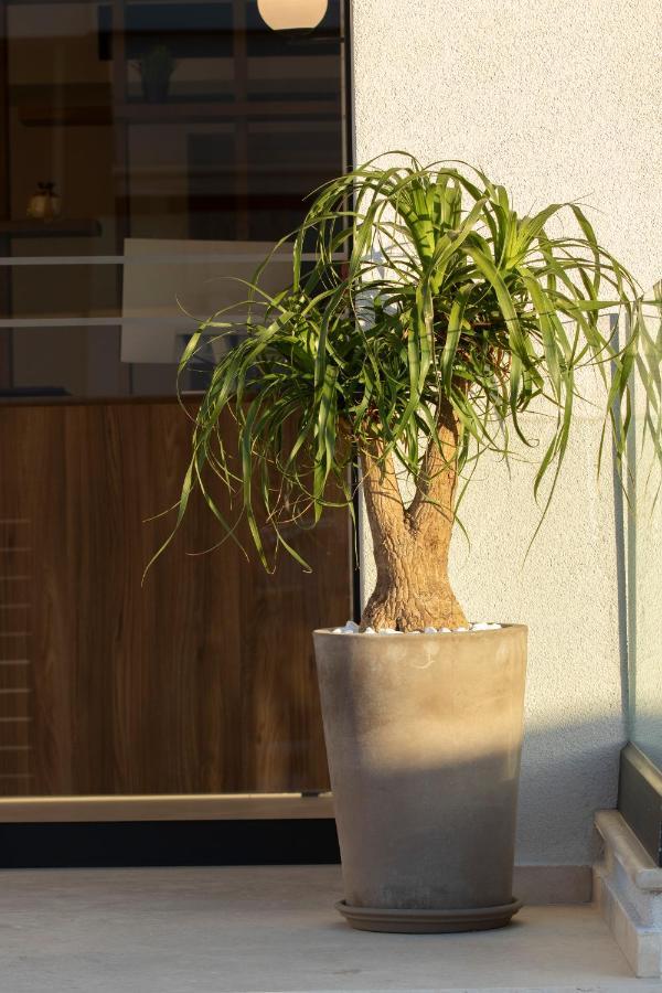 Apartment Arente *